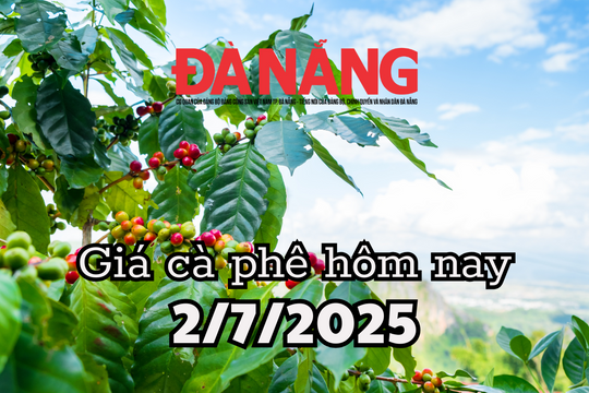 Giá cà phê hôm nay 2/7/2025 Việt Nam sắp đạt sản lượng 31 triệu bao