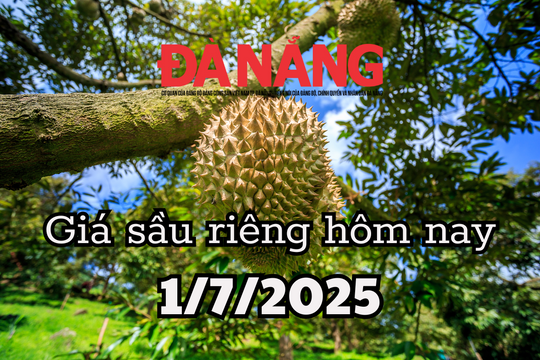 Giá sầu riêng hôm nay 1/7/2025 dậm chân tại chỗ, Trung Quốc tiếp tục làm khó