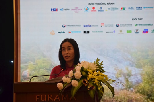 Phát hiện và bồi dưỡng tài năng điện ảnh từ kinh nghiệm quốc tế