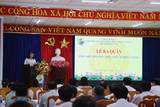 Tổng điều tra nghiêm túc, chính xác và hiệu quả