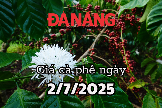 Tin tức, dự báo giá cà phê ngày mai 2/7/2025 ổn định nhờ nguồn cung siết chặt
