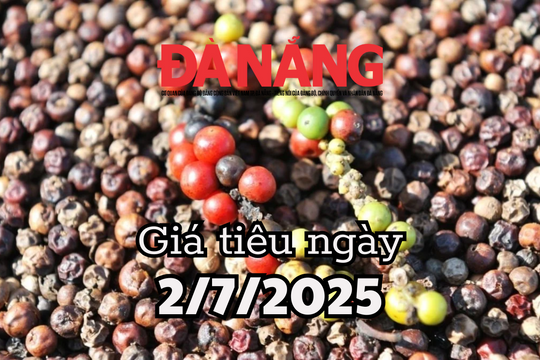 Tin tức, dự báo giá tiêu ngày mai 2/7/2025 nóng ran, tăng mạnh nếu đơn hàng Trung Quốc về