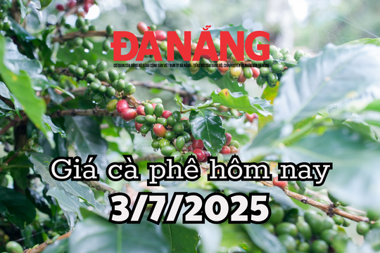 Giá cà phê hôm nay 3/7/2025: Cà phê Việt kiếm 5.5 tỷ USD sau 6 tháng