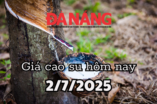 Giá cao su hôm nay 2/7/2025: Tăng vọt tại 2 sàn lớn nhất châu Á