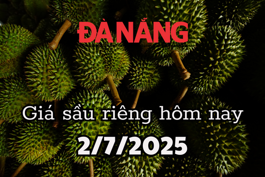 Giá sầu riêng hôm nay 2/7/2025 tình hình xuất khẩu thua đau, giảm 61,6%