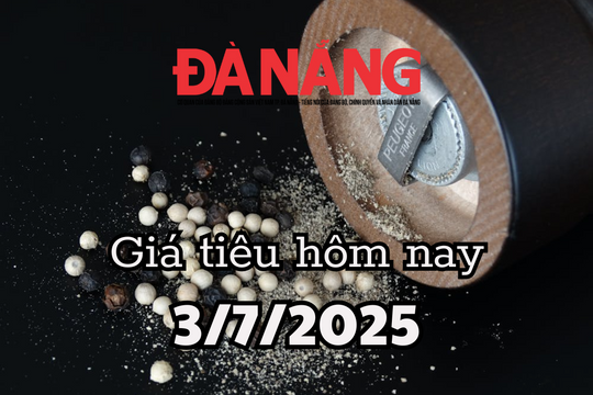Giá tiêu hôm nay 3/7/2025 xuất khẩu giảm 15% nhưng doanh thu tăng 36%