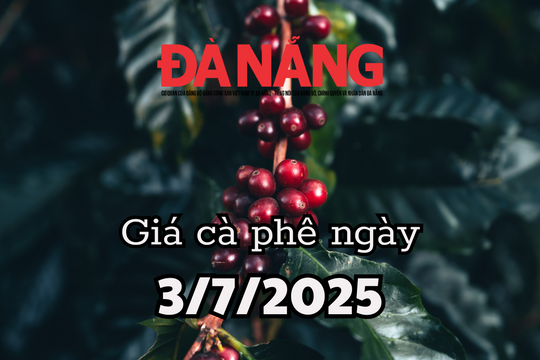 Tin tức, dự báo giá cà phê ngày mai 3/7/2025 tăng kịch kim lên đỉnh giá 96.000 đồng/kg
