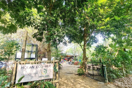 Living green in Triem Tay