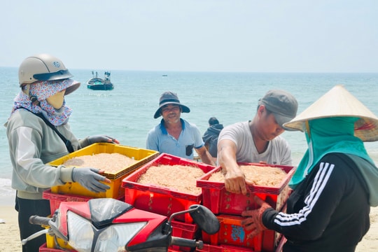 "Lộc" ruốc cuối mùa