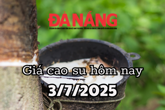Giá cao su hôm nay 3/7/2025: Tocom-SGX tăng vọt, Mang Yang một mình một chiều