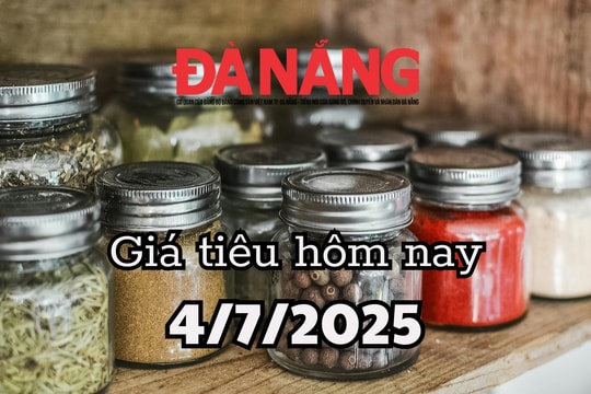 Giá tiêu hôm nay 4/7/2025 Đắk Lắk một mình một cõi với mức giá 145.000 đồng/kg