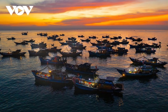 The beauty of Tam Tien market