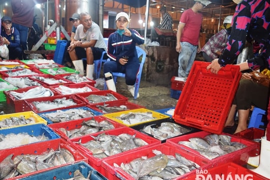 Triển khai đề án quản lý tổng thể cảng cá, chợ đầu mối thủy sản Thọ Quang gắn với du lịch, dịch vụ