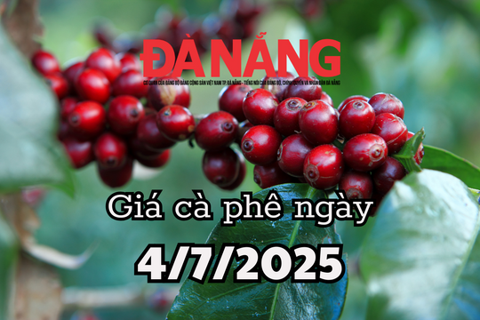 Tin tức, dự báo giá cà phê ngày mai 4/7/2025 giá cà phê toàn cầu giảm sâu bởi đồng Real mạnh lên