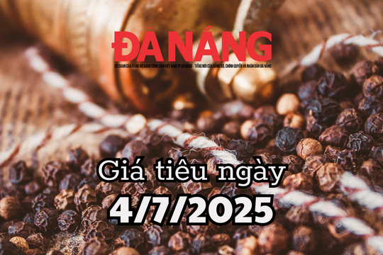 Tin tức, dự báo giá tiêu ngày mai 4/7/2025 chuỗi domino giảm đồng loạt