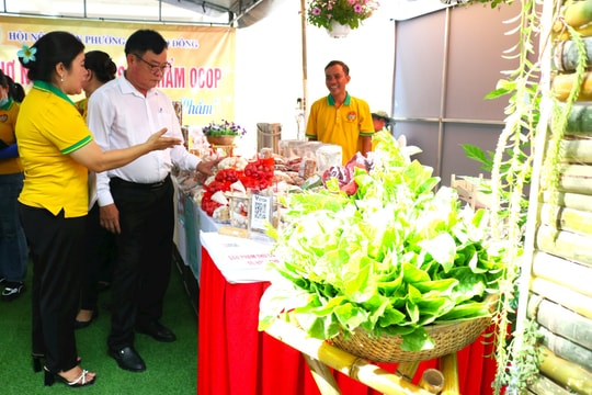 Nông thôn và OCOP