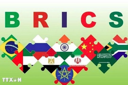 BRICS opens new doors for Vietnam - South America cooperation