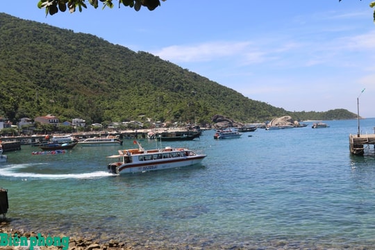 Efforts to keep Cu Lao Cham forever green