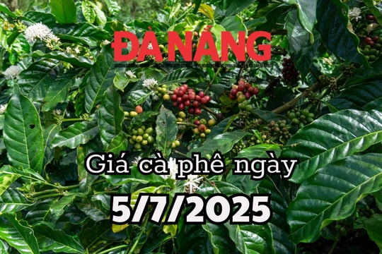 Dự báo giá cà phê trong nước ngày mai 5/7/2025 điều chỉnh trước đợt tăng mới