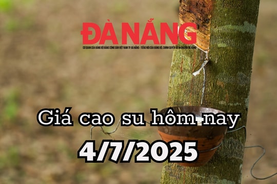 Giá cao su hôm nay 4/7/2025: Mang Yang làm mưa làm gió, Phú Riềng vẫn lì đòn 385 đồng/DRC