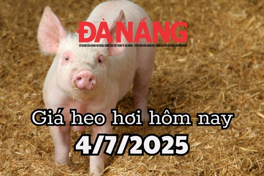 Giá heo hơi hôm nay 4/7/2025: Miền Trung và miền Nam đỏ sàn, Gia Lai xuất hiện vùng giá thấp kỷ lục