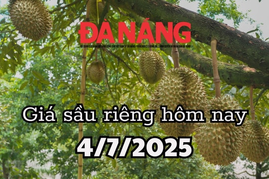 Giá sầu riêng hôm nay 4/7/2025: Việt Nam chi 9,3 triệu USD nhập sầu riêng dù là vua xuất khẩu
