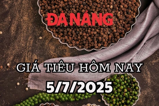Giá tiêu hôm nay 5/7/2025 Đắk Lắk dẫn đầu, Gia Lai rớt thảm