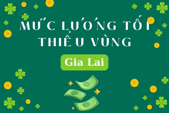 Mức lương tối thiểu vùng 2025 tại Gia Lai theo giờ, tháng từ 1/7