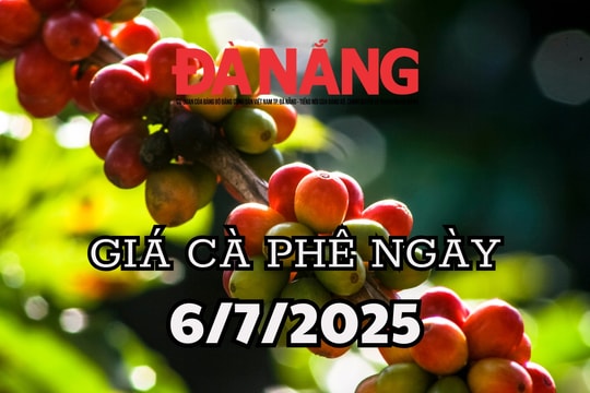 Dự báo giá cà phê ngày mai 6/7/2025 Đắk Lắk, Lâm Đồng tiếp tục cơn sốt giá
