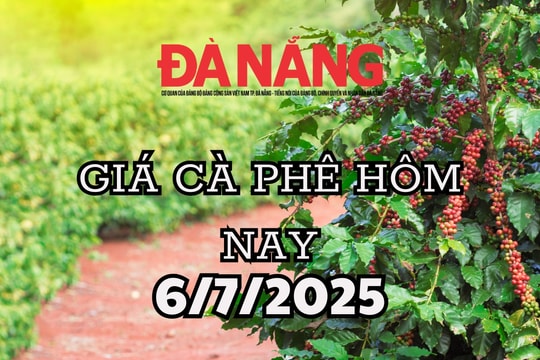 Giá cà phê hôm nay 6/7/2025: Đồng loạt tăng gần 1.000 đồng/kg