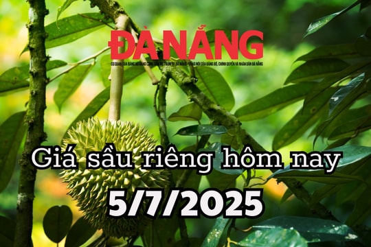 Giá sầu riêng hôm nay 5/7/2025: Ri6 và sầu Thái cạnh tranh giảm sâu, thương lái bán không kịp đếm tiền