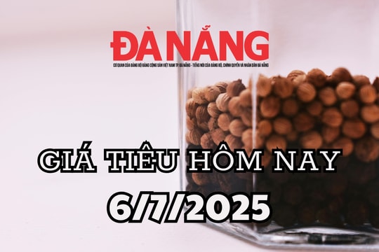 Giá tiêu hôm nay 6/7/2025 Đắk Lắk neo ở mức cao nhất 144.000 đồng/kg, giữ vững vị thế