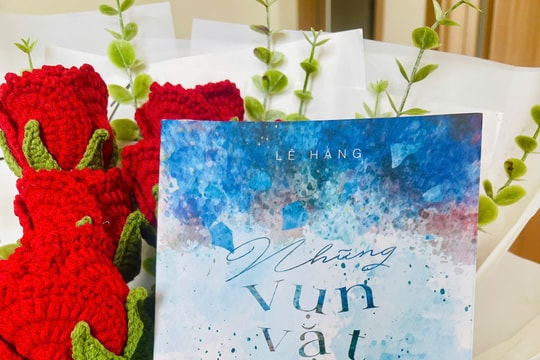 Những vụn vặt nhiệm màu