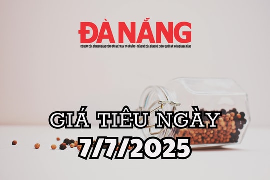 Tin tức, dự báo giá tiêu ngày mai 7/7/2025 thị trường đảo chiều, kịch bản lặp lại