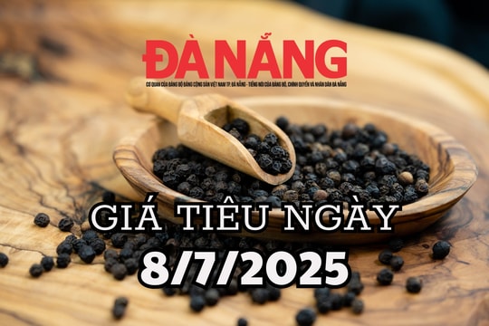 Dự báo giá tiêu ngày mai 8/7/2025 đà tăng yếu lại quanh mức 2.000 đồng