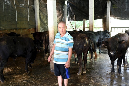 Lực đẩy cho các quỹ tín dụng nhân dân