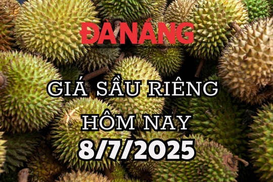 Giá sầu riêng hôm nay 8/7/2025: Giảm mạnh toàn quốc, xuất khẩu cạnh tranh khốc liệt