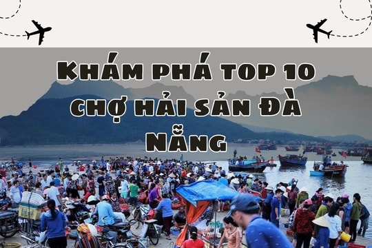 Khám phá top 10 chợ hải sản Đà Nẵng: Nơi hội tụ tinh hoa biển cả!