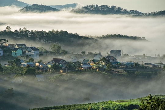 Gợi ý lịch trình 1 ngày ở Đà Lạt: Một ngày sống ảo ‘cháy máy’ tại thành phố ngàn hoa