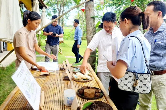 Đà Nẵng ra mắt mạng lưới du dịch Việt Nam không rác