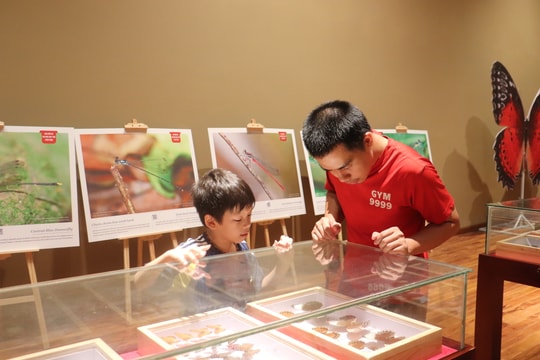 Sôi nổi hoạt động hè cho thiếu nhi