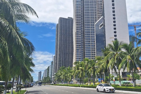 DIFF 2025 finale drives hotel occupancy to peak