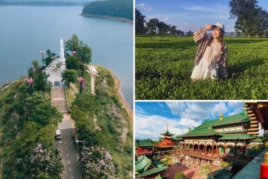Latour - Tour Măng Đen 3 ngày 2 đêm khởi hành từ Đà Nẵng mới nhất
