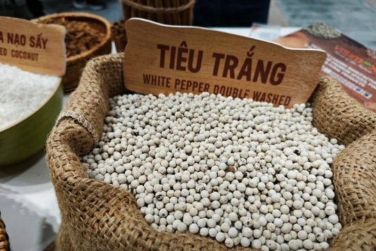 Giá tiêu hôm nay 13/7/2025: Đắk Lắk giữ mức đỉnh cao nhất 141.000 đồng, đáy