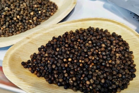 Tin tức, dự báo giá tiêu ngày 13/7: Chuỗi ngày lặng sóng trước mùa mưa lớn