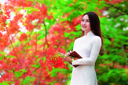 Không về