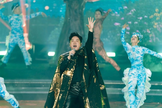 Mùa DIFF 2025 nhiều ấn tượng