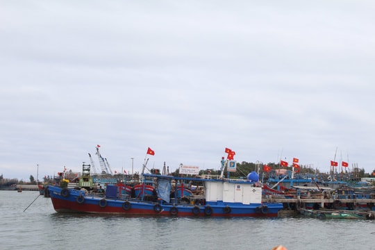 Núi Thành phát huy thế mạnh nghề biển