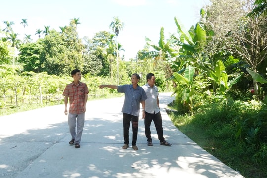 Chung sức vì quê hương