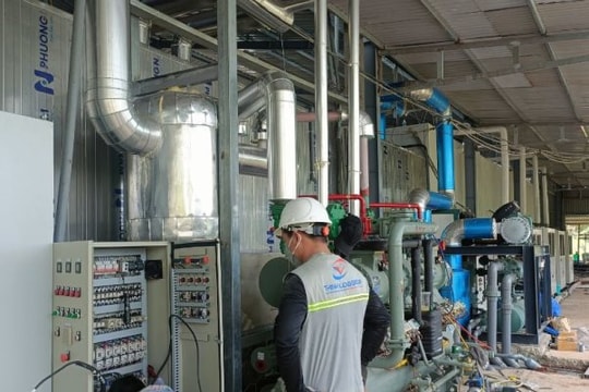Thịnh Vượng Group đơn vị chuyên lắp đặt kho lạnh bảo quản tôm tại Đà Nẵng
